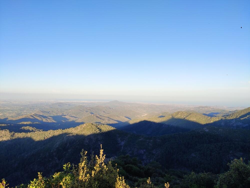 Без подписи