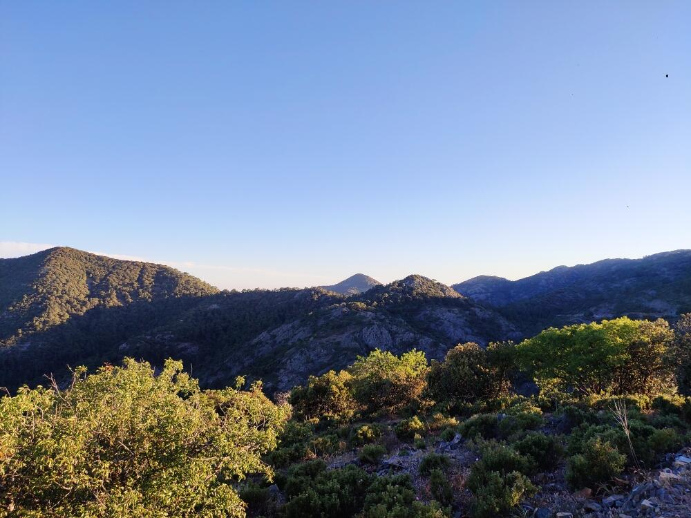 Без подписи