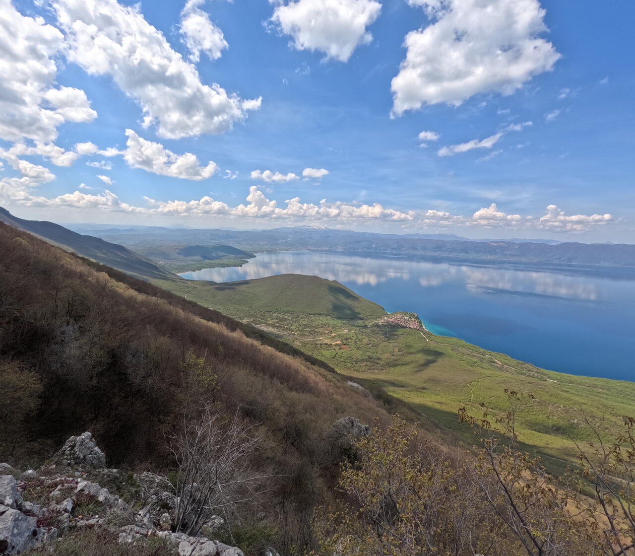 Без подписи