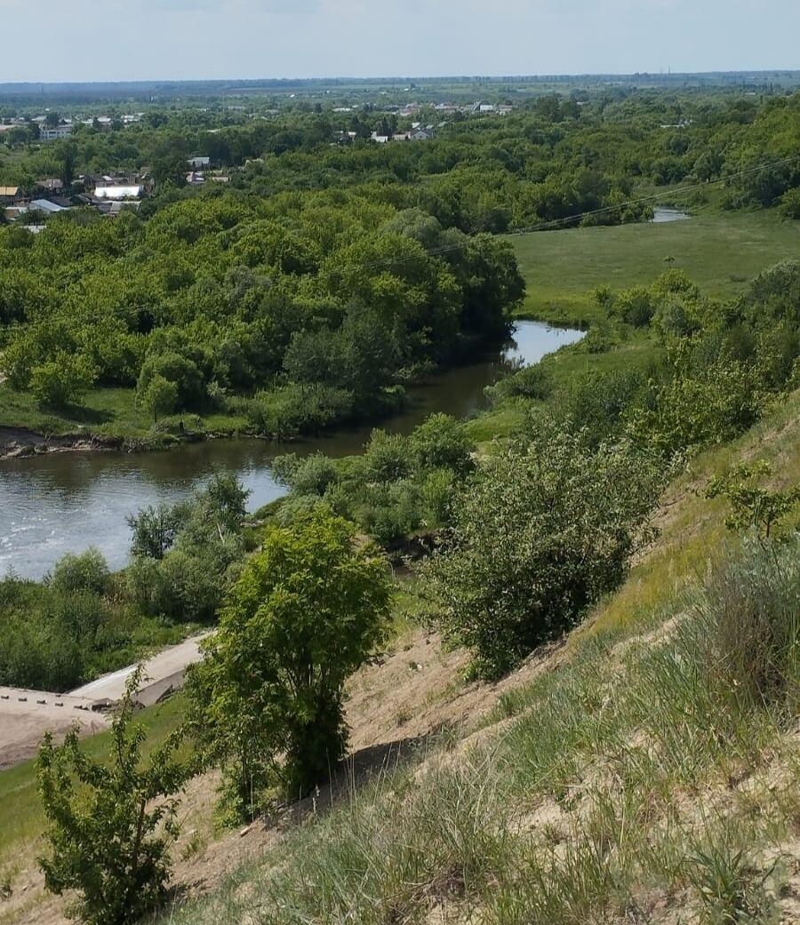 Без подписи