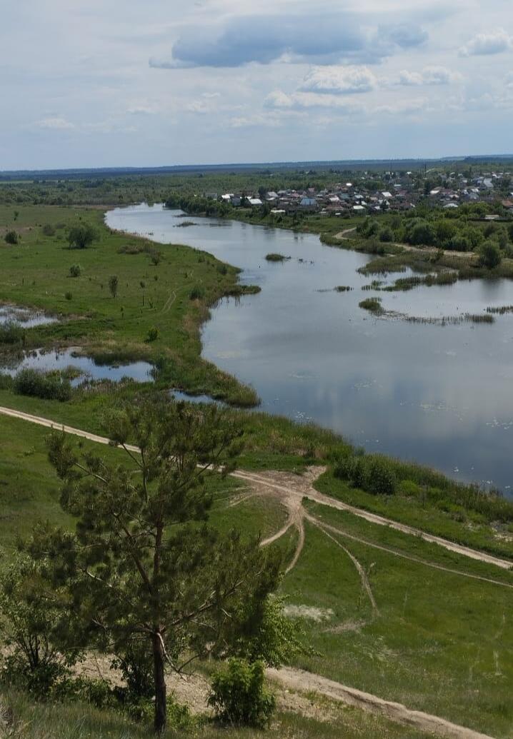 Без подписи