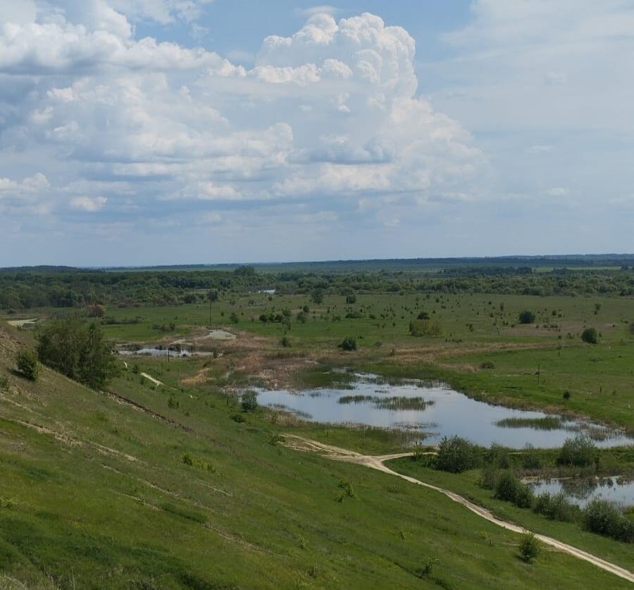 Без подписи