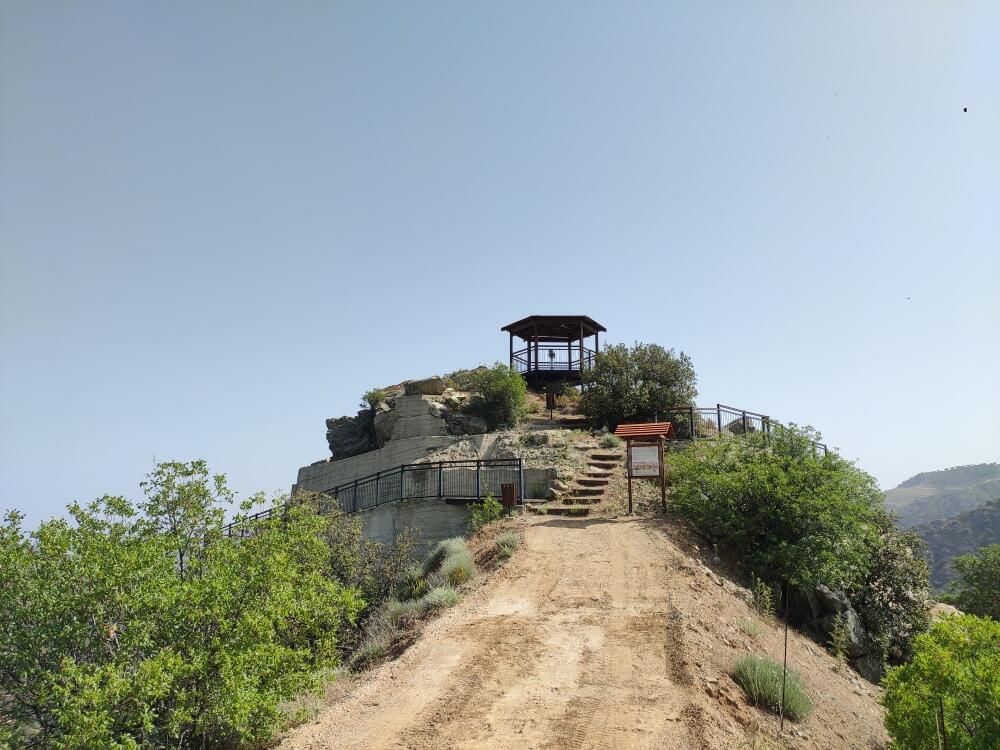 Без подписи