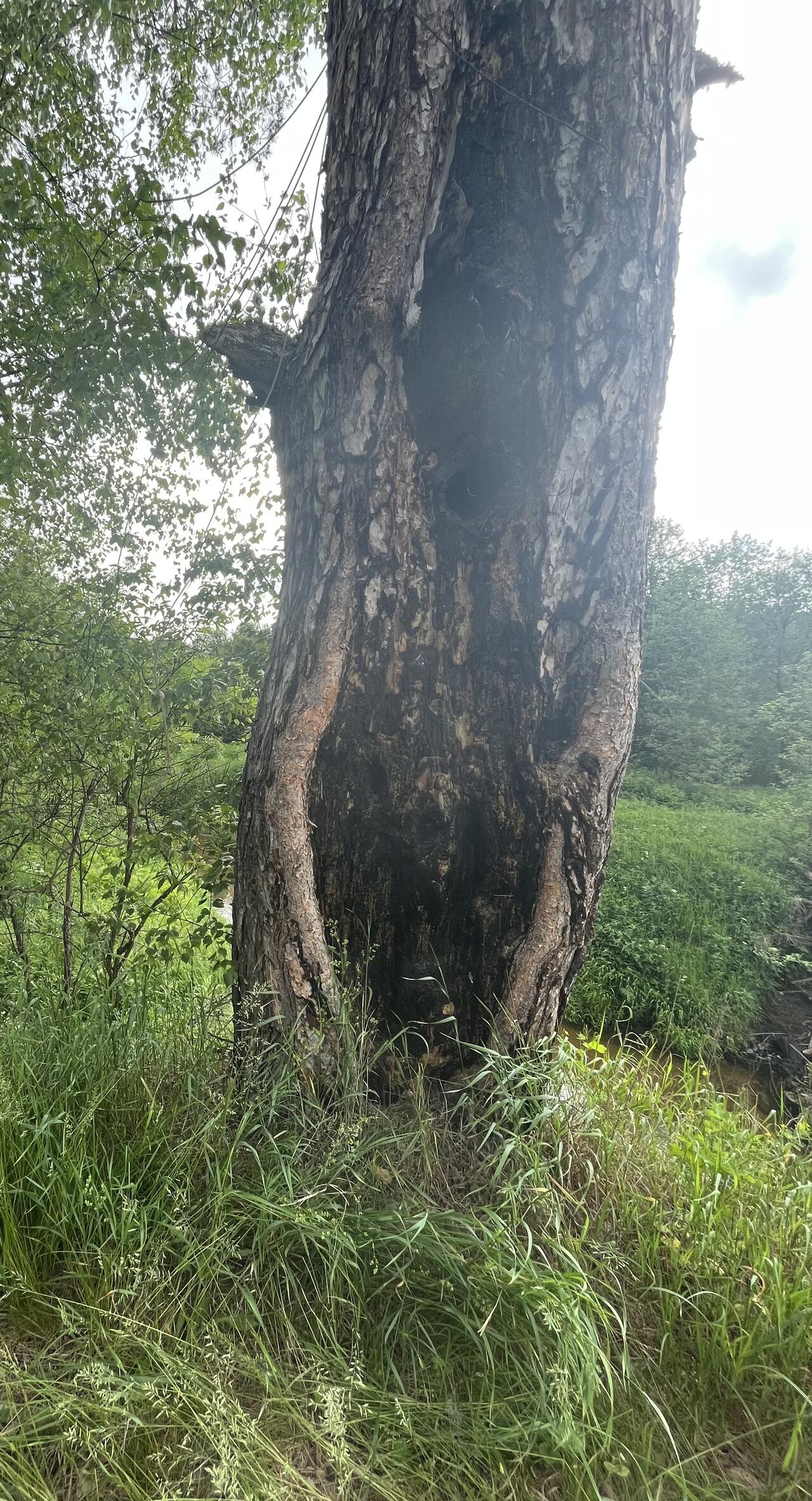 Без подписи