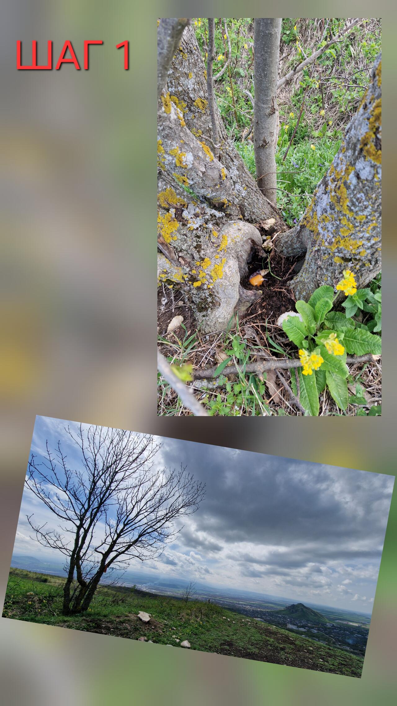 Без подписи