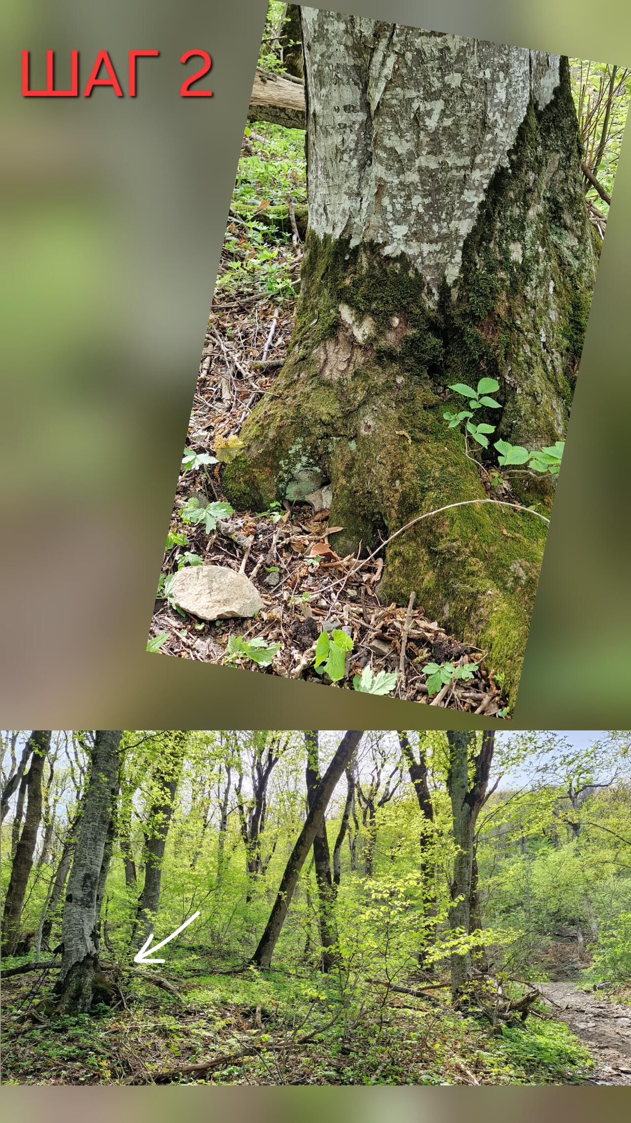 Без подписи