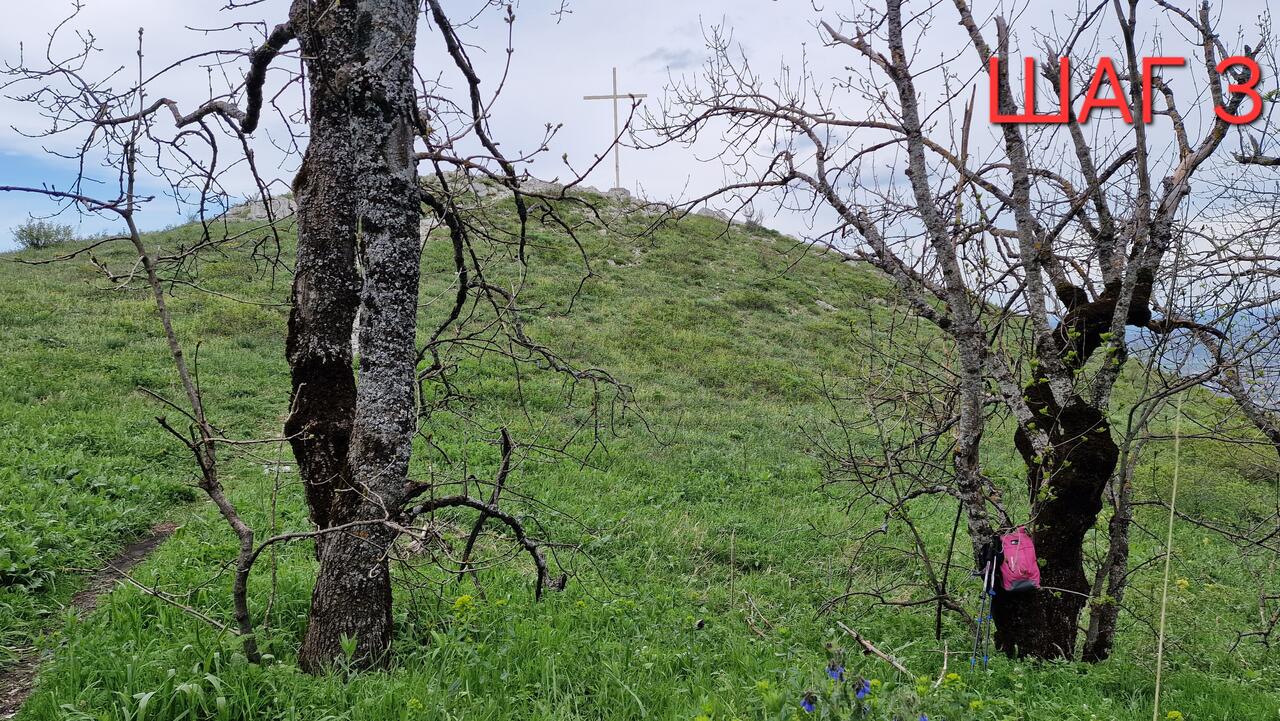 Без подписи