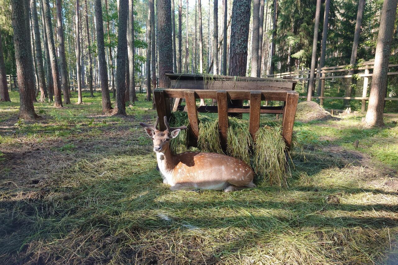 Без подписи