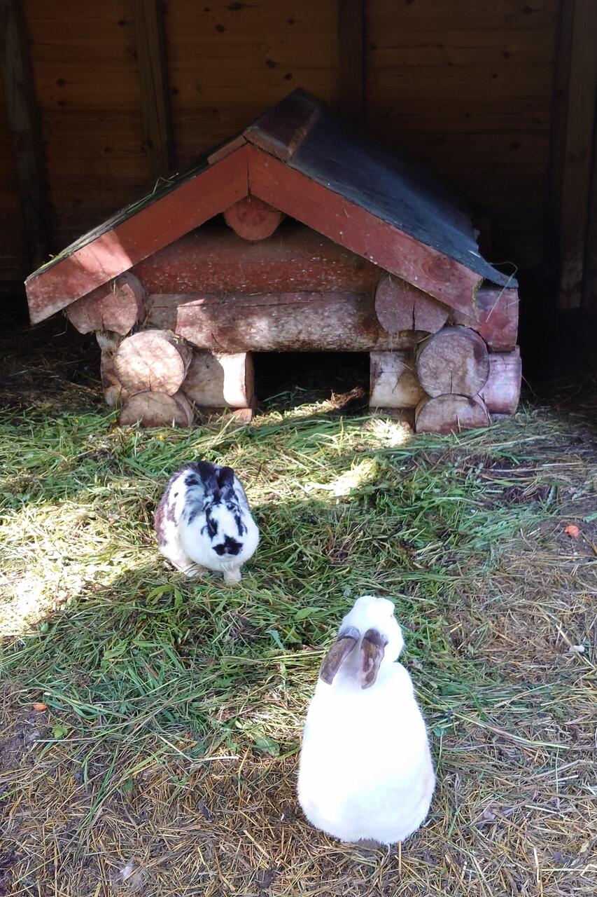 Без подписи