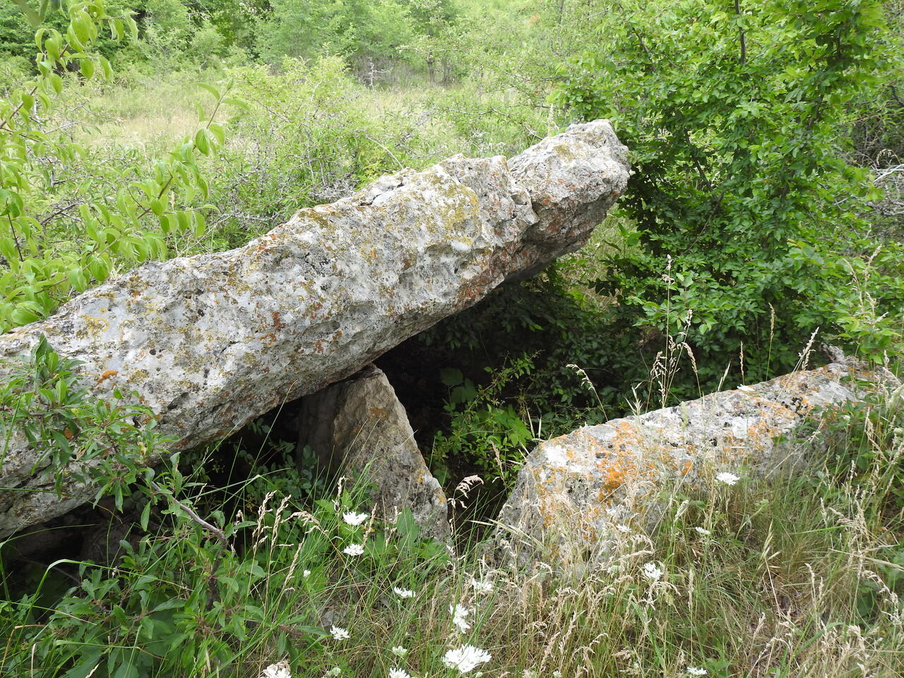 Без подписи