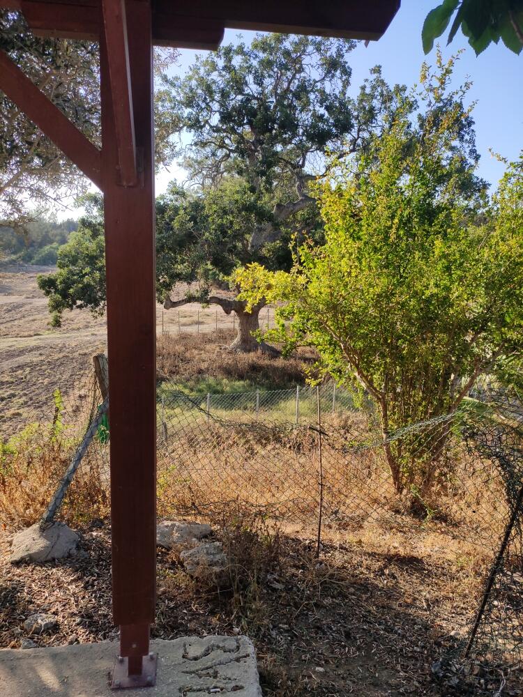 здесь видно последние буквы на полу под навесом