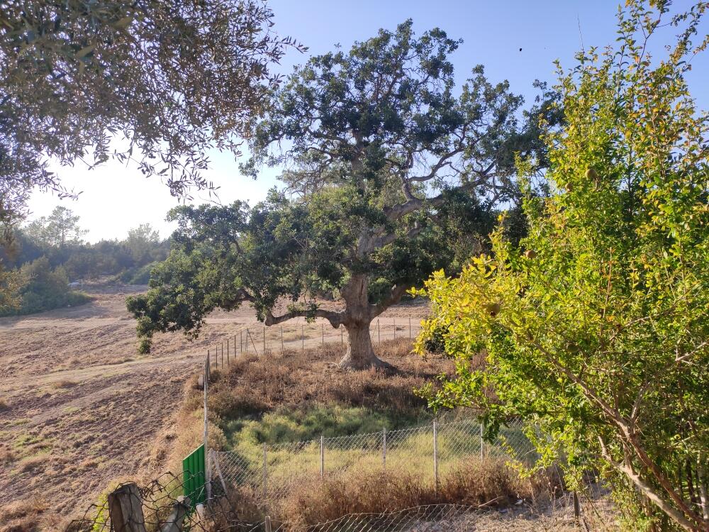 Без подписи