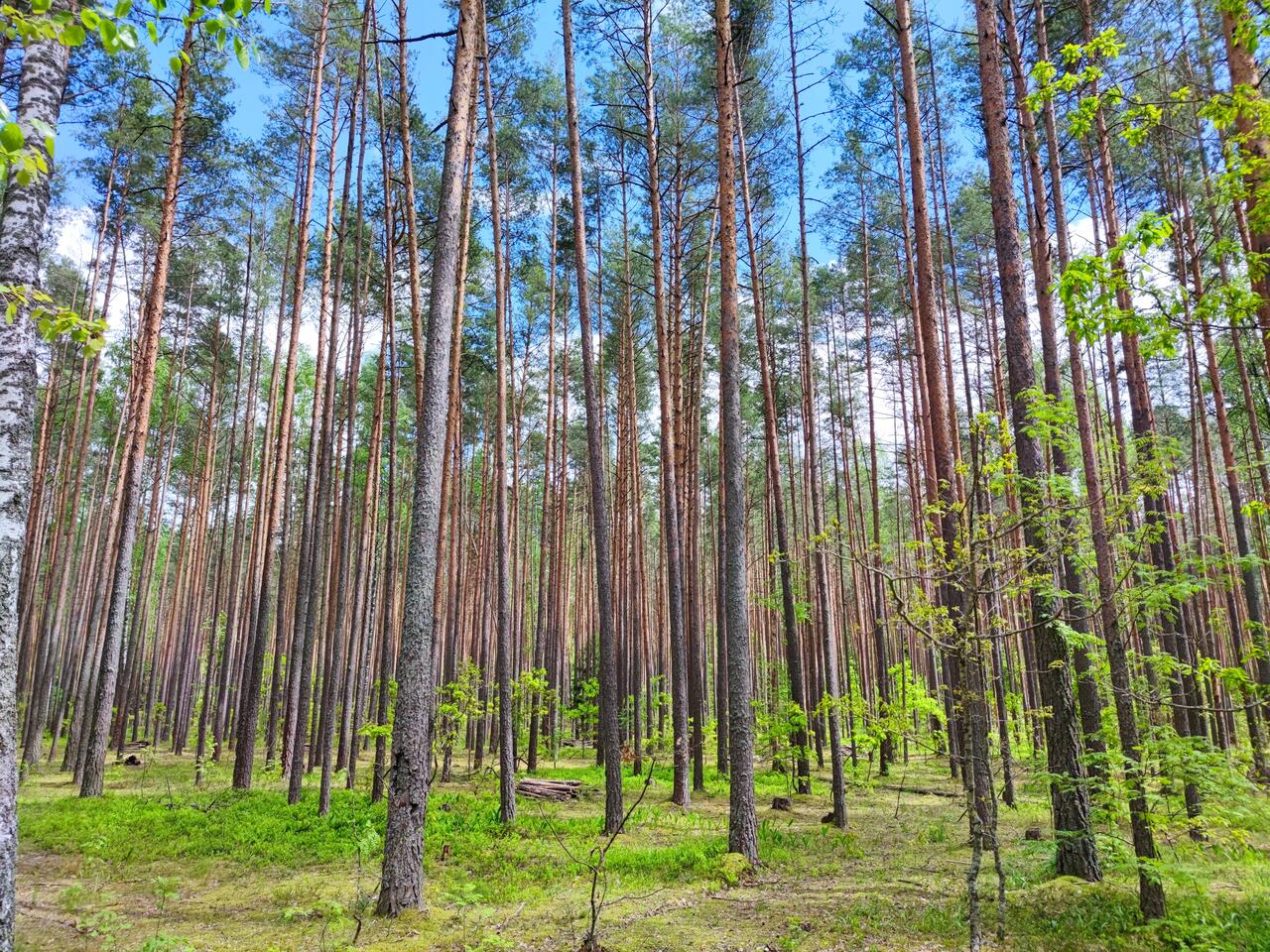 Без подписи