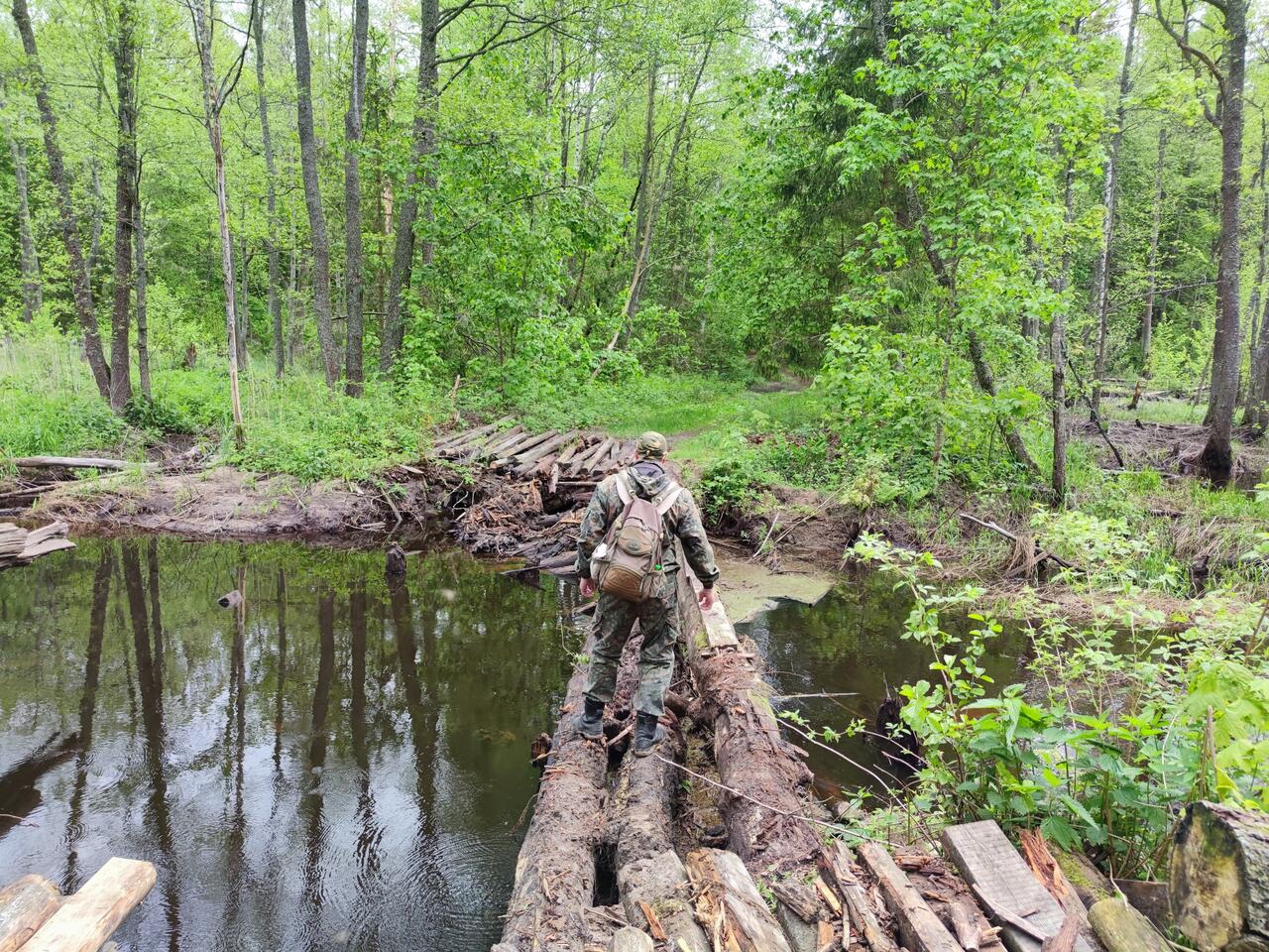 Предупреждение автомобилистам: мосты через Берёзовку могут быть разрушены. Фото 2022 года