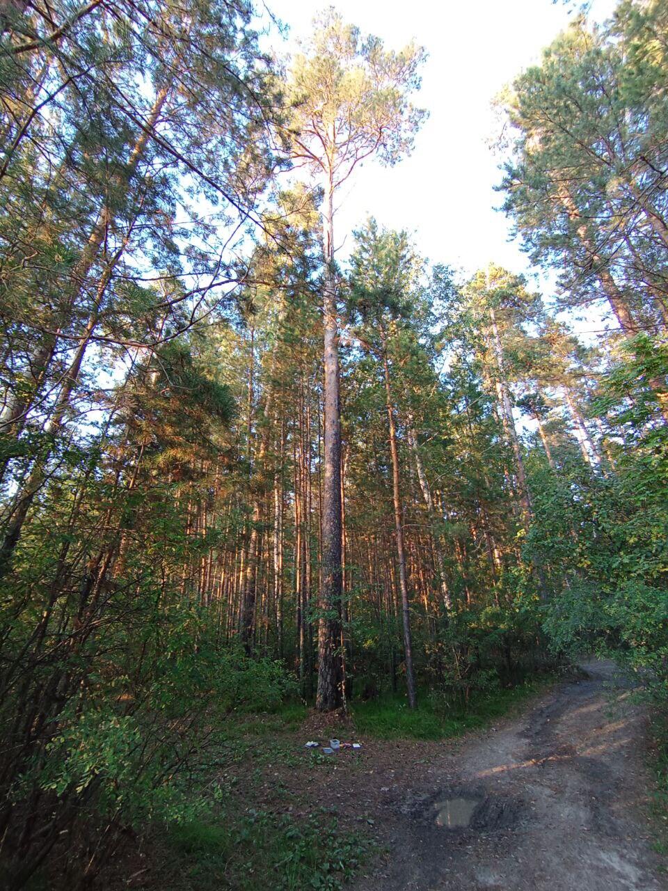 Без подписи