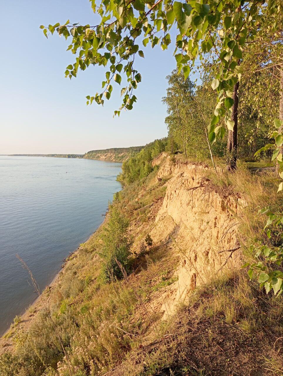 Без подписи