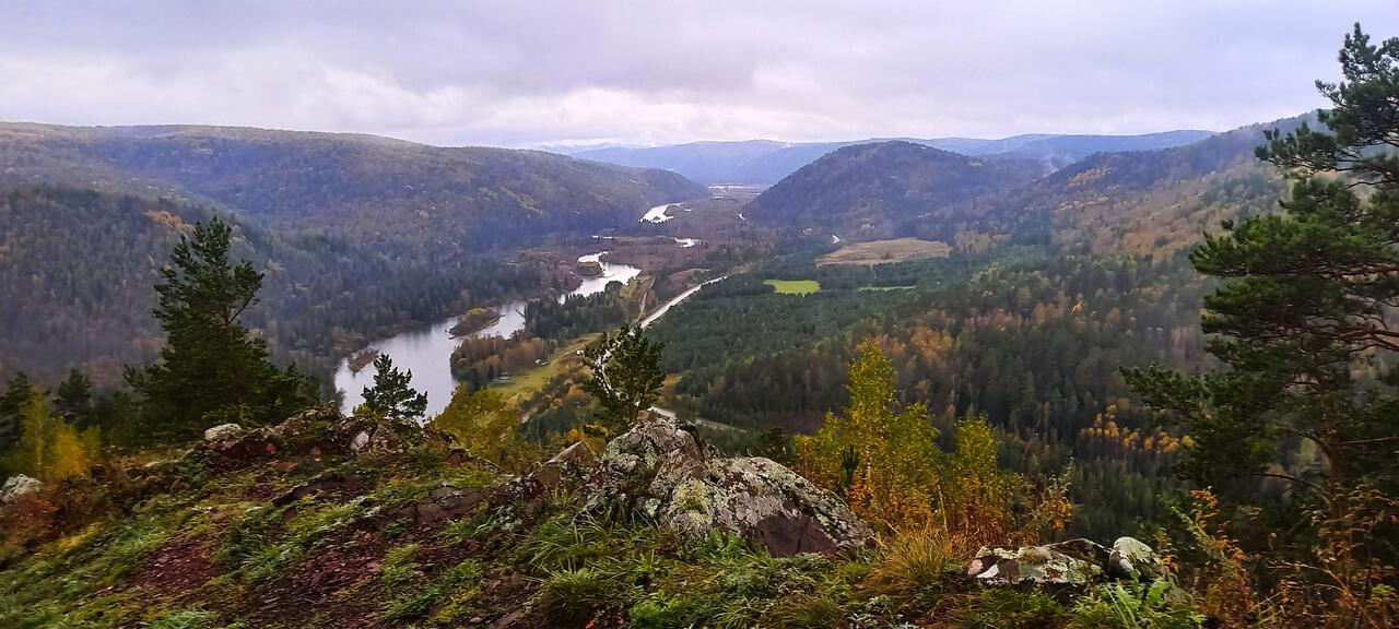 Без подписи