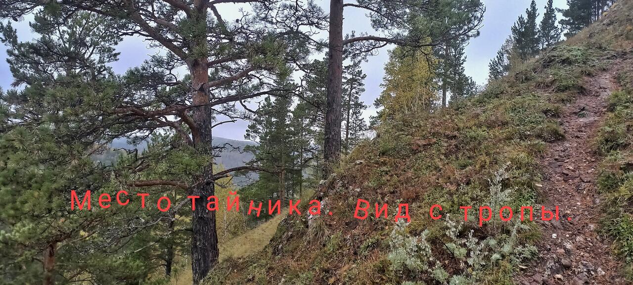 Без подписи