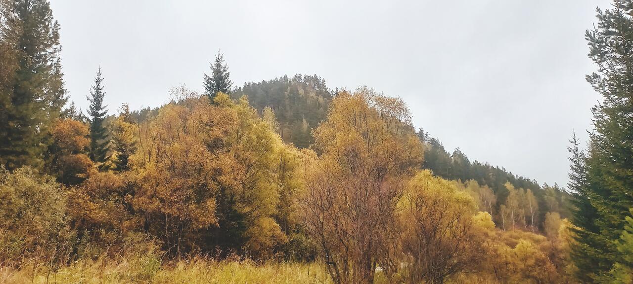 Без подписи