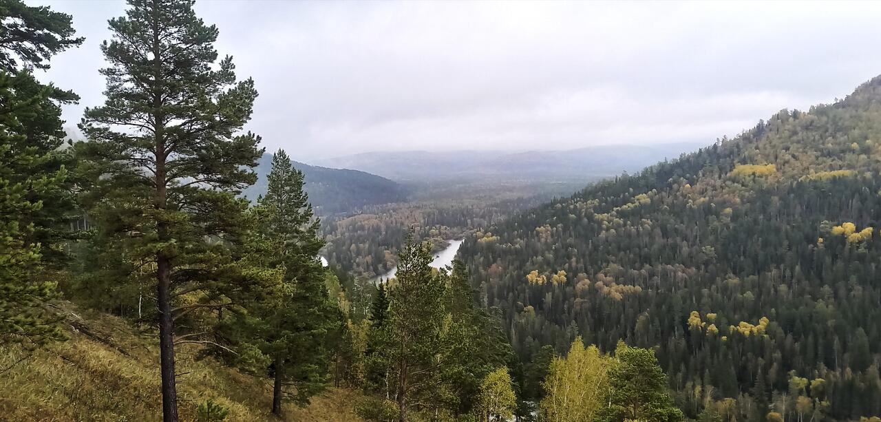 Без подписи