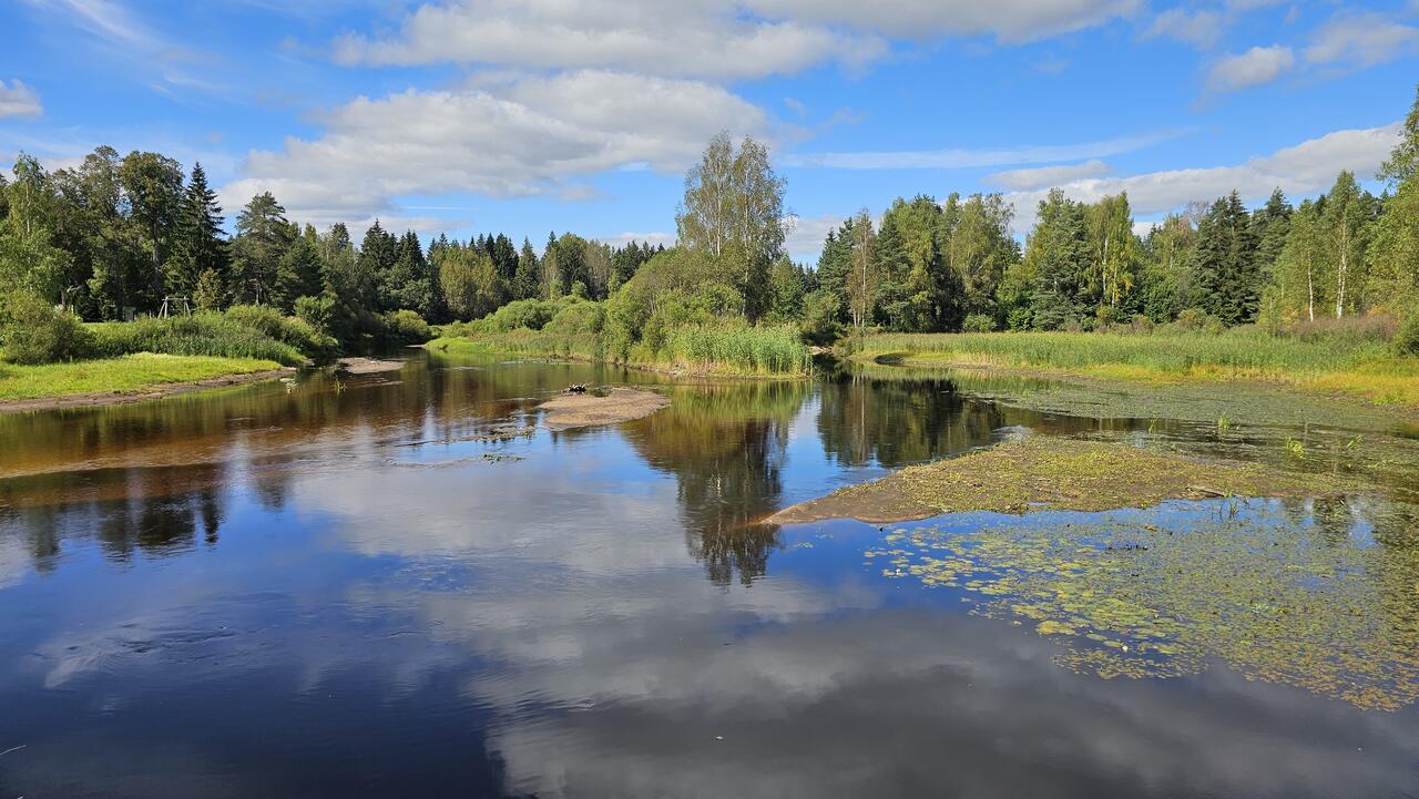 Без подписи