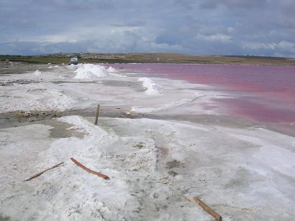 Без подписи