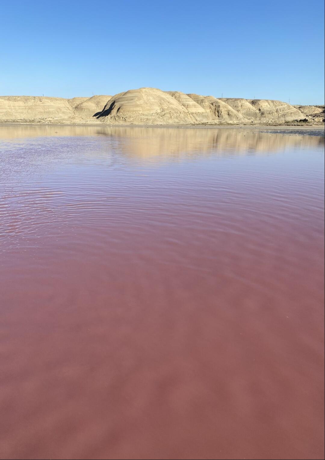 Без подписи