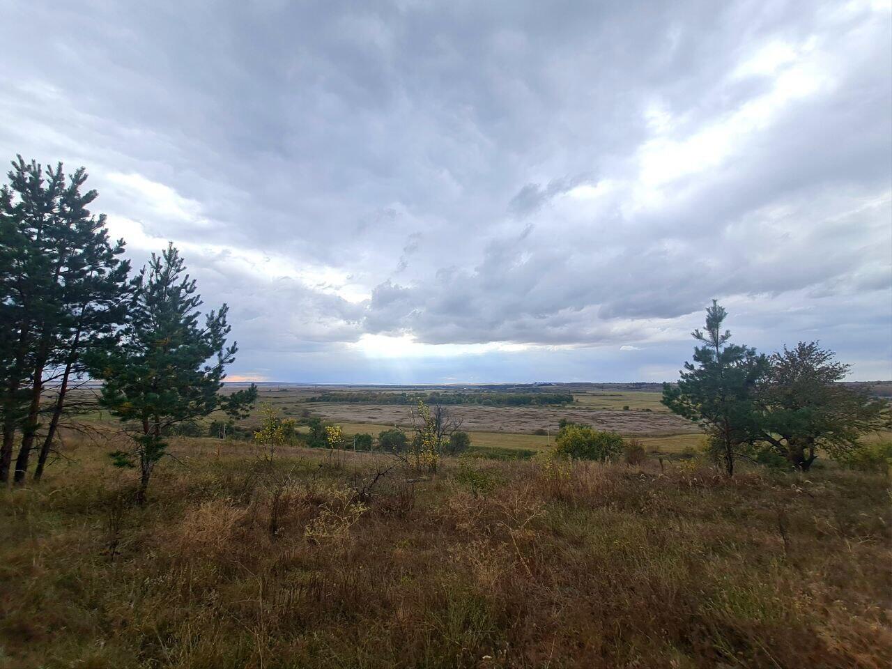 Без подписи