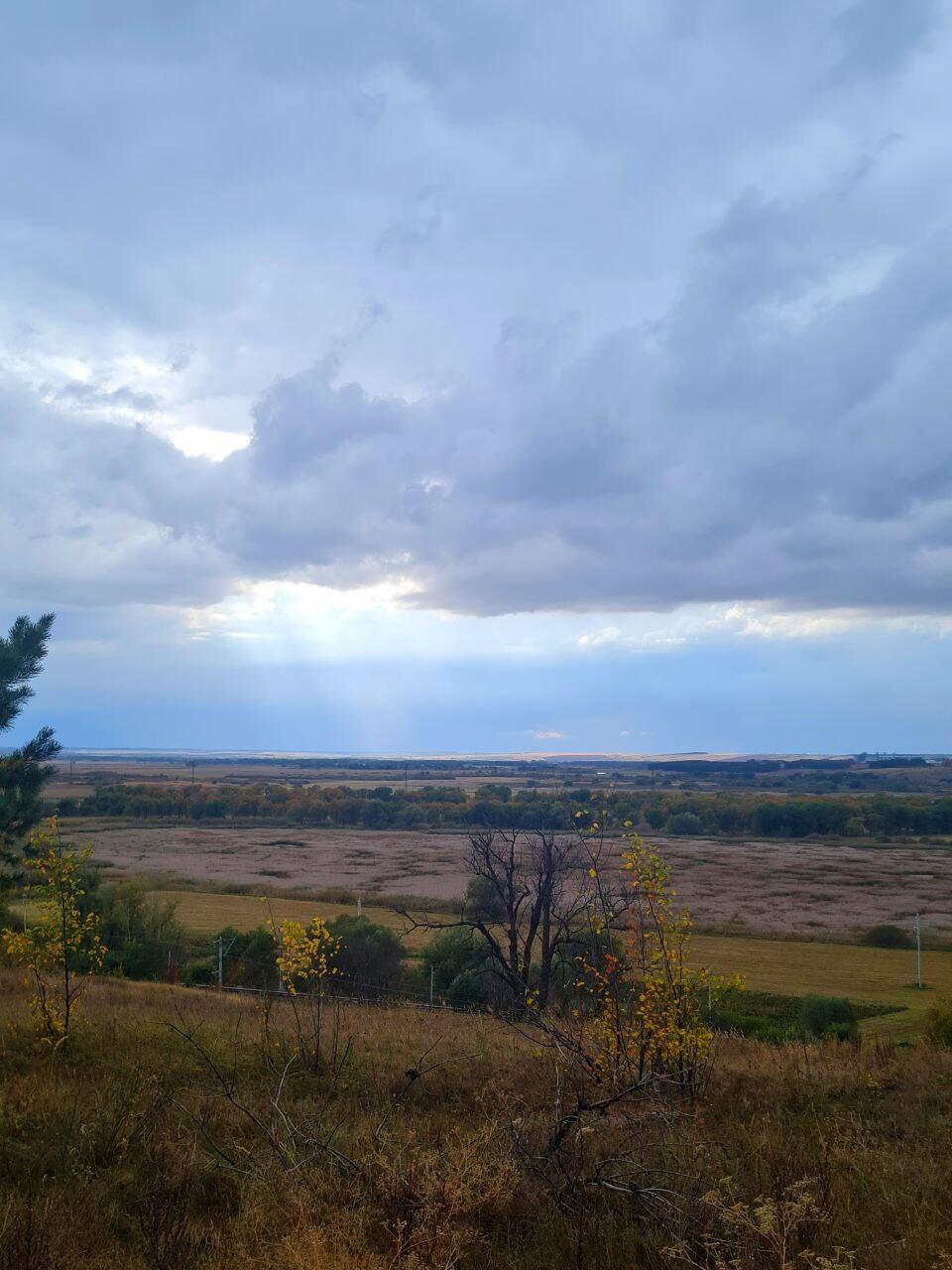 Без подписи