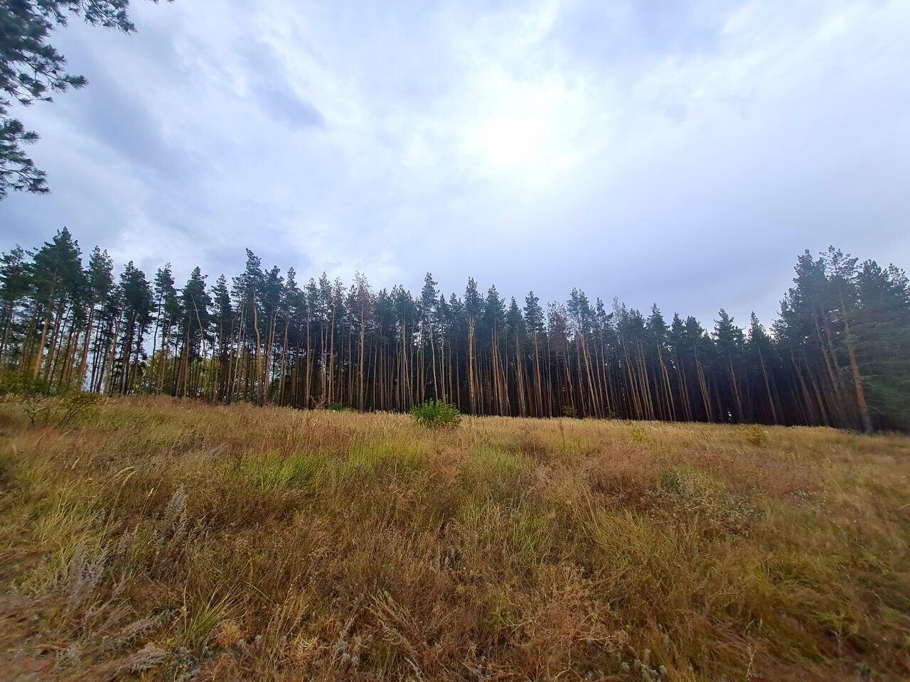 Без подписи