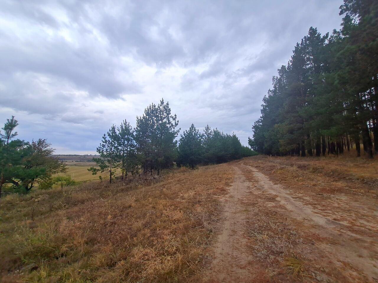 Без подписи