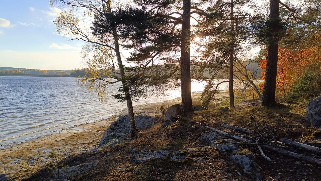 Без подписи