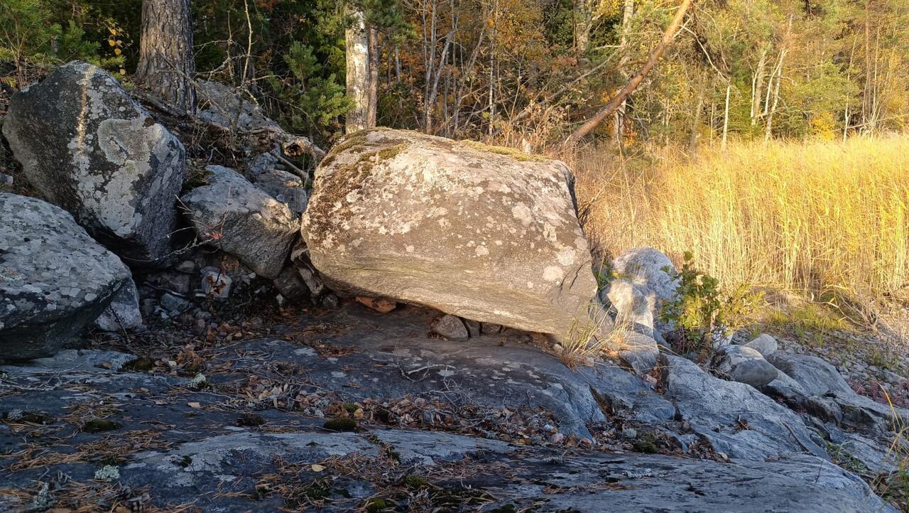 Без подписи