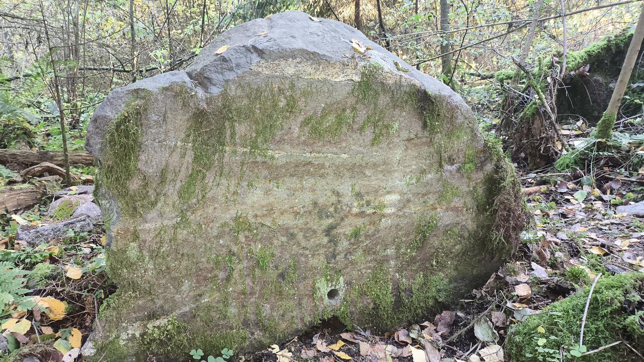 Без подписи