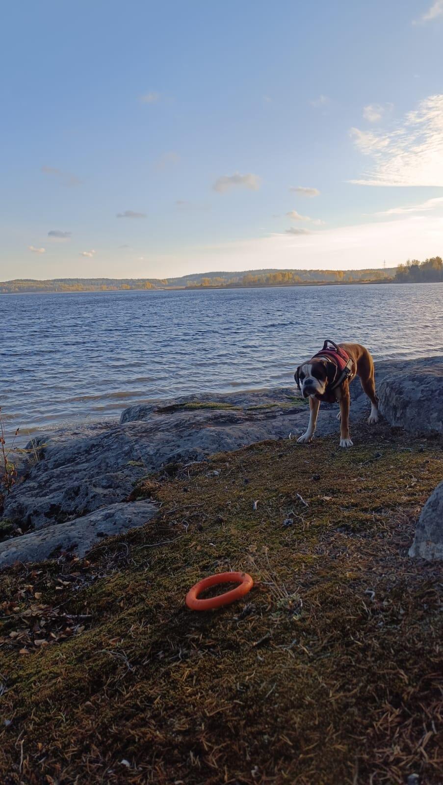 Без подписи