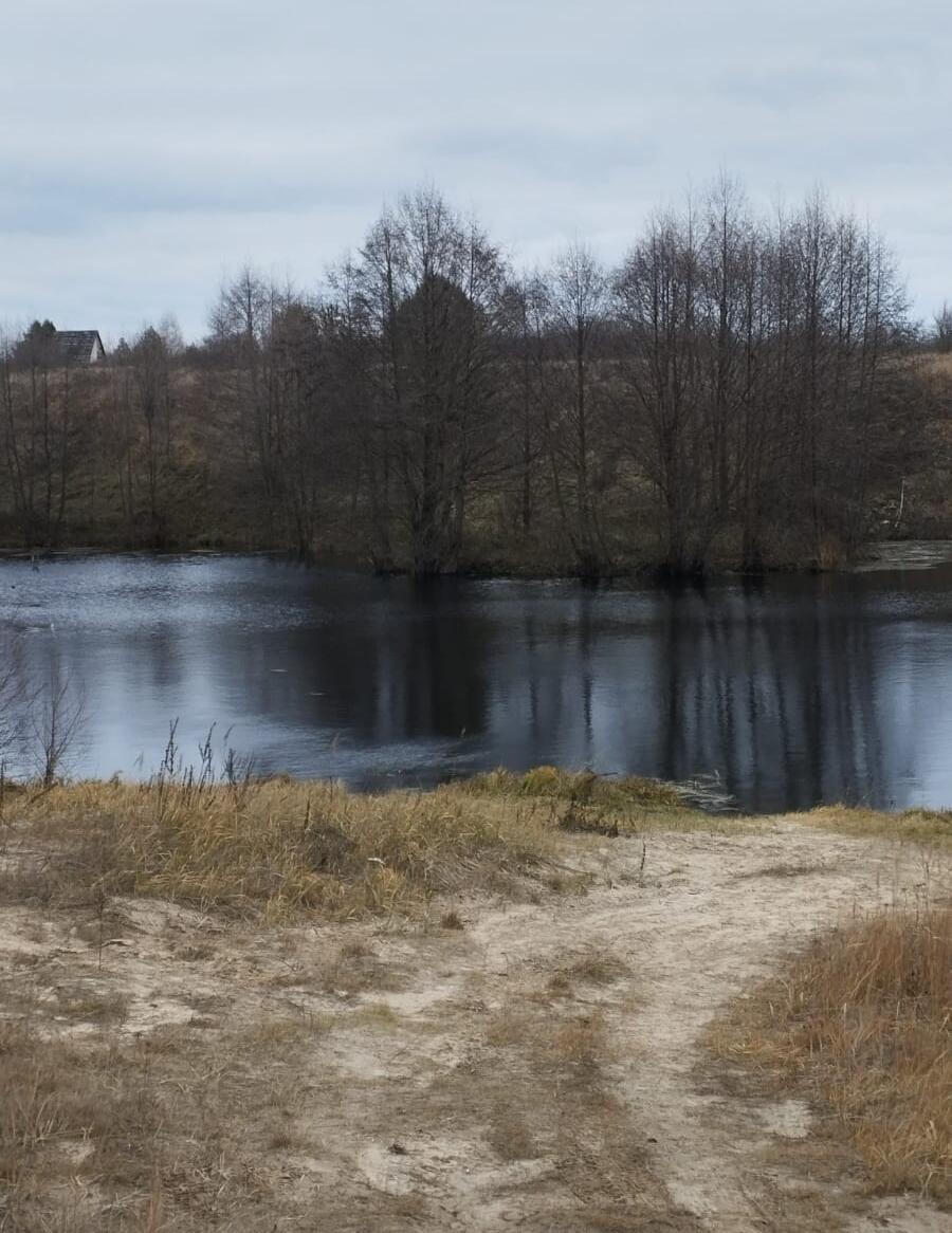 Без подписи