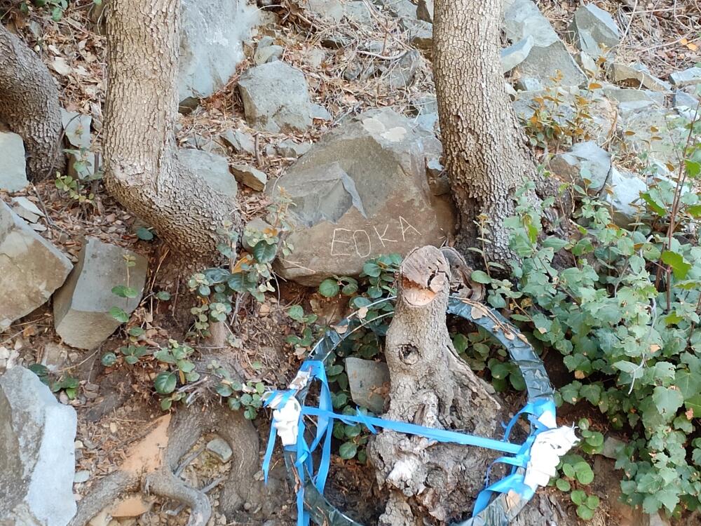 Без подписи