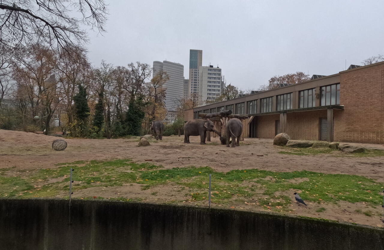 Без подписи