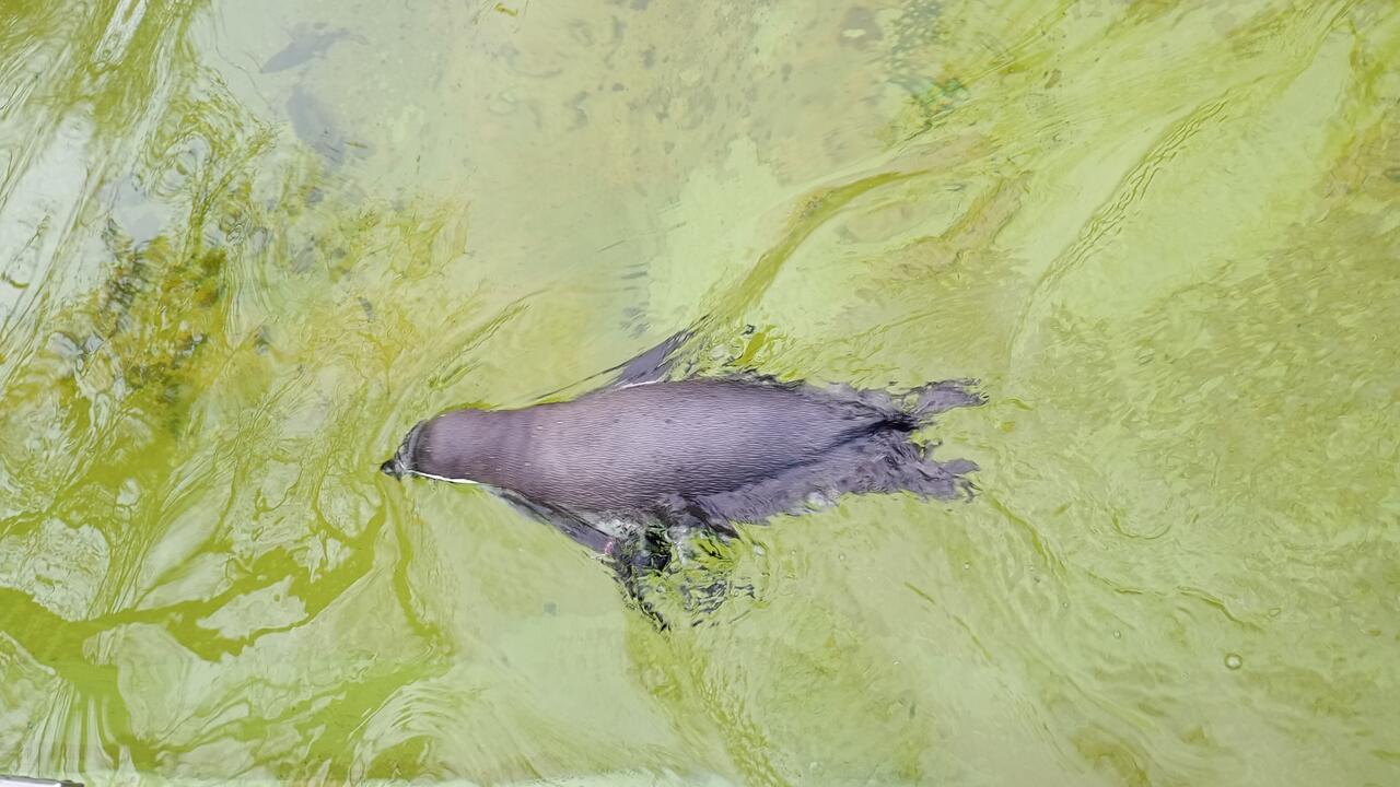 Без подписи