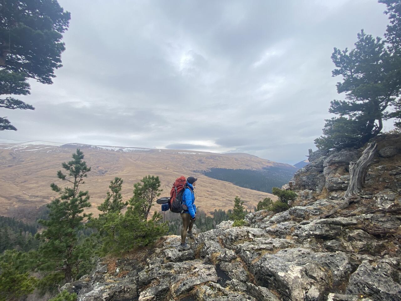 Без подписи