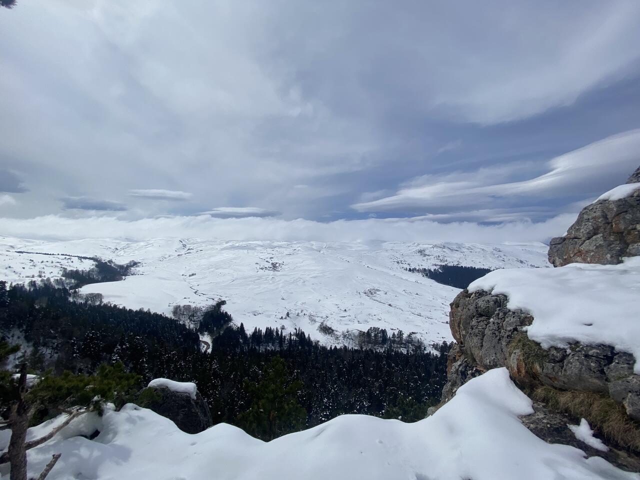 Без подписи