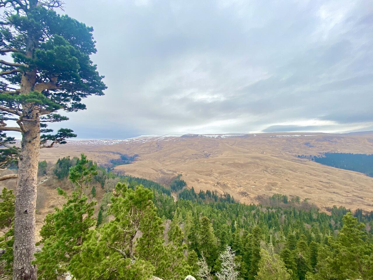 Без подписи