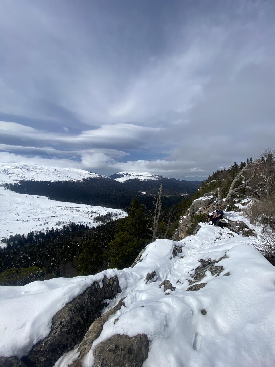 Без подписи