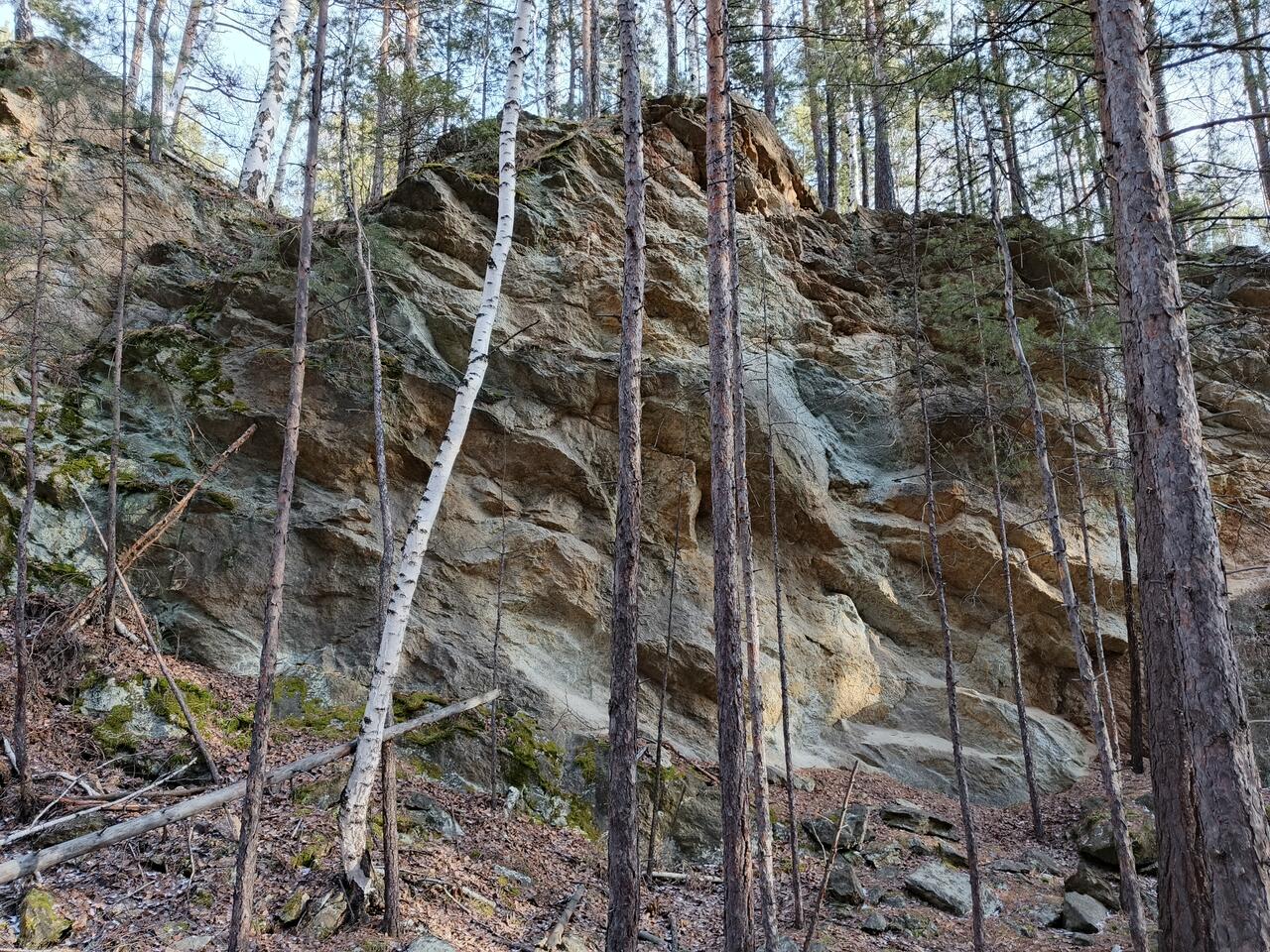 Без подписи