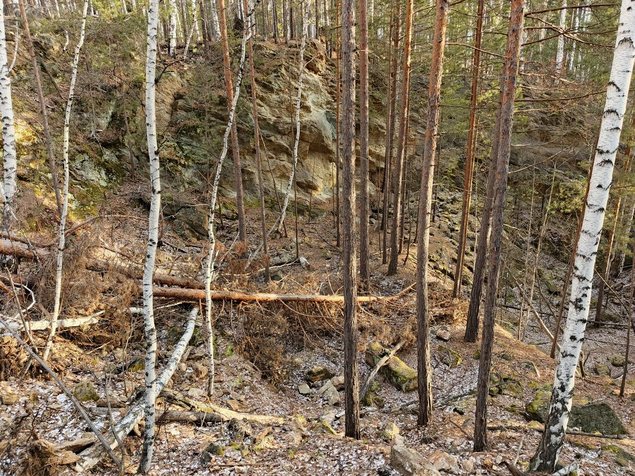 Без подписи