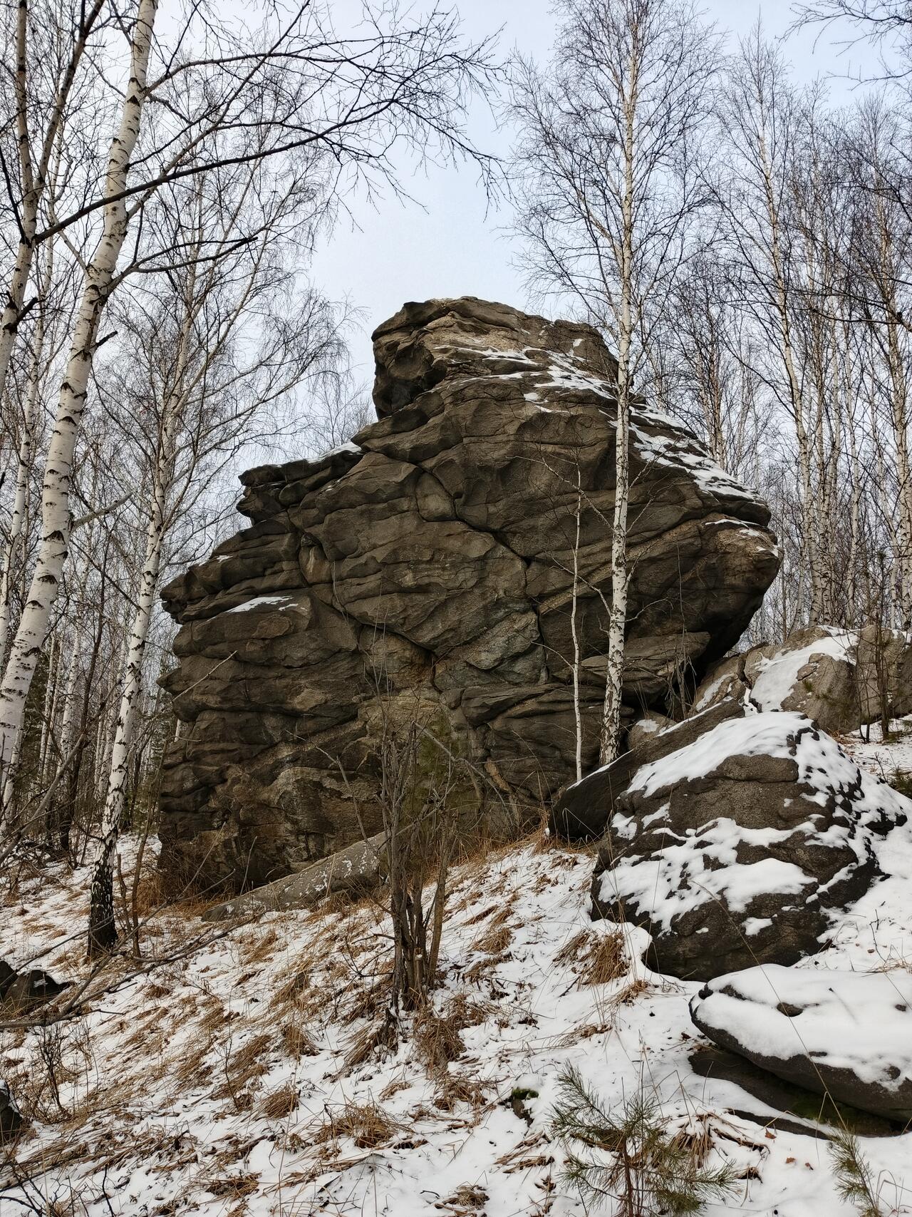 Правда, что скала похожа на хамелеона?