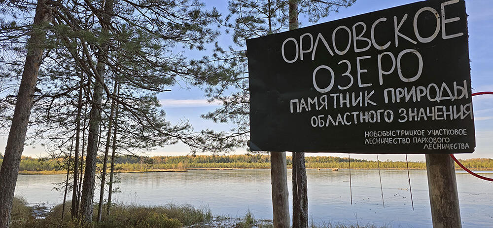 Без подписи