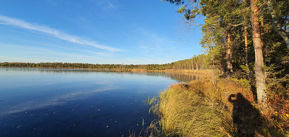 Без подписи