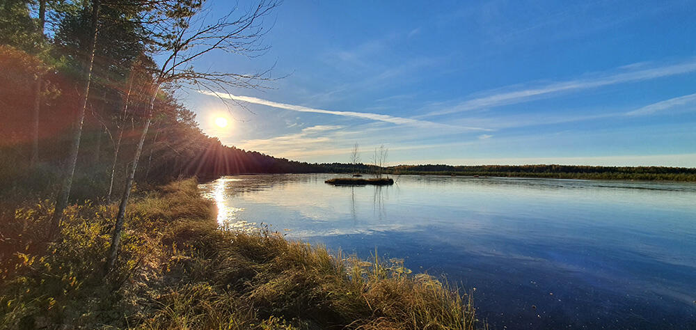 Без подписи