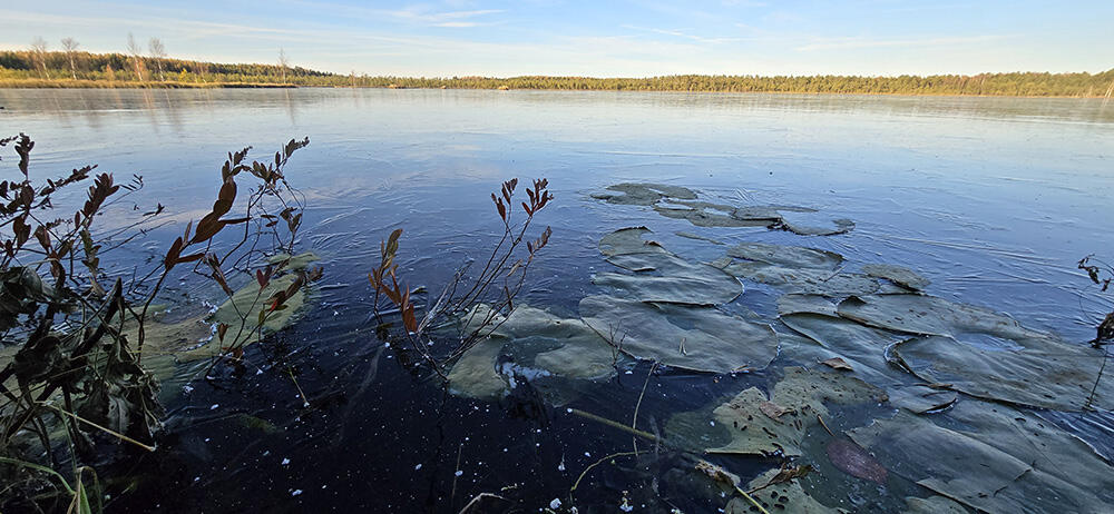 Без подписи